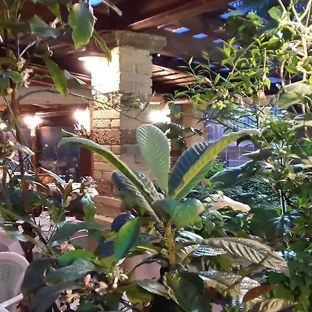 Sandomenico 마리나디카메로타